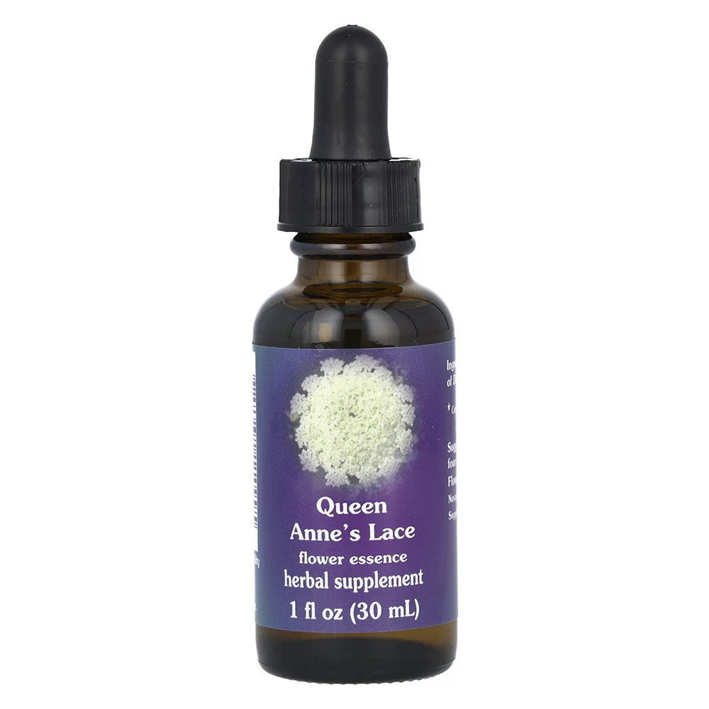 Queen Annes Lace Herbal Supplement Dropper By Flower Essence - 1 Oz